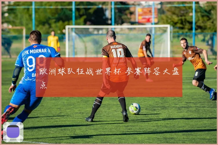 欧洲球队征战世界杯 参赛阵容大盘点