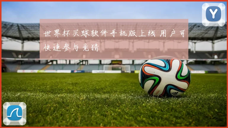 世界杯买球软件手机版上线 用户可快速参与竞猜
