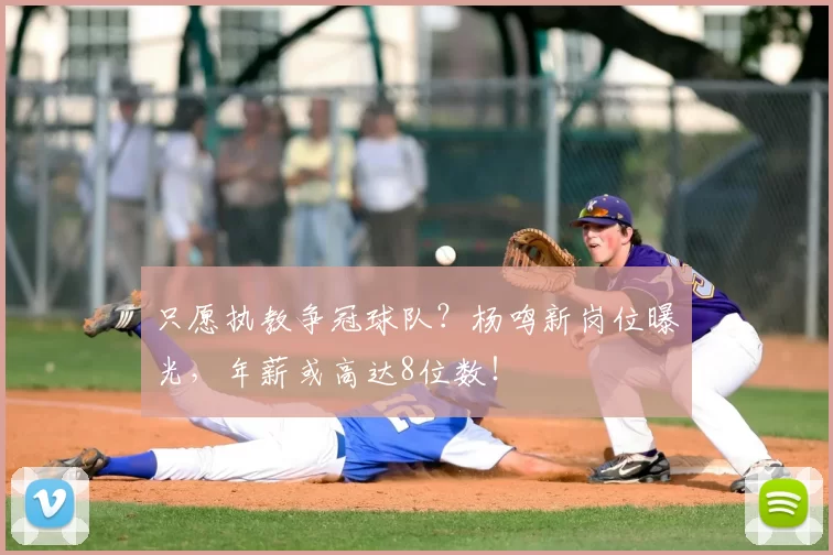 只愿执教争冠球队？杨鸣新岗位曝光，年薪或高达8位数！